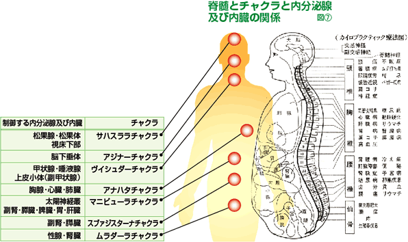 画像07