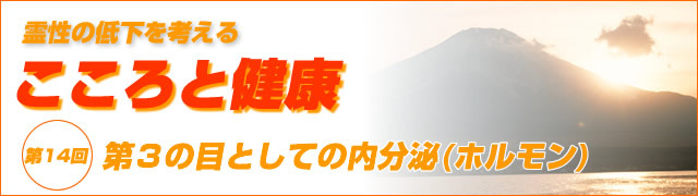 霊性の低下を考える　こころと健康　第14回 第３の目としての内分泌(ホルモン)